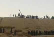 Iran – FOTO: një burrë i quajtur Young është varur në publik në një vend arkeologjik