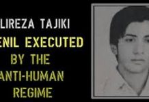 Ekspertja e të drejtave të OKB-së indinjohet për ekzekutimin në Iran të një adoleshenti, i dënuar në kohën kur ishte i mitur.