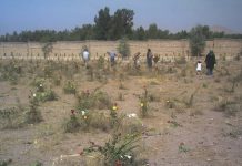 Kohërat e Errëta të Iranit Nxirren në Dritë