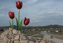 Me Rënien Përfundimtare të Mullahëve, MEK Dëshiron të Themelojë më në Fund një Demokraci