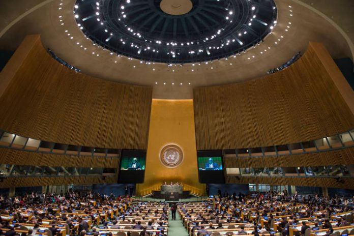 Third-Committee-of-the-United-Nations-General-Assembly