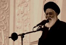 Përfaqësuesi i Khamenei-t e krahason regjimin e Iranit me një mi të tmerruar para një maceje