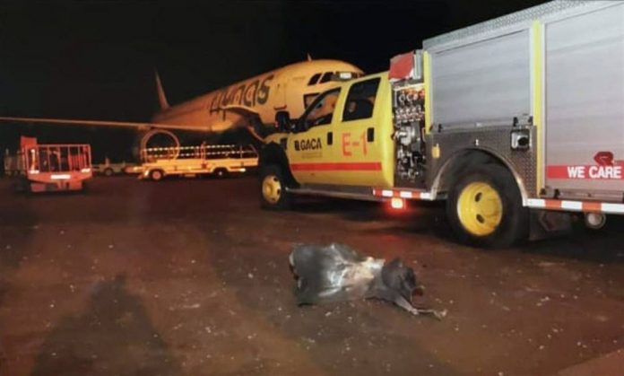 Saudi_Defence_Official_Blast_Iranian_Regime_Over_Airport_Attack
