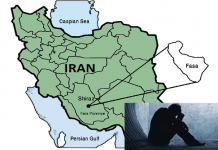 Vetëvrasjet në Provincën Fars të Iranit Rriten me 8%, Thotë Zyrtari