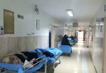 Zëvendës Ministri i Shëndetit Pranon Mungesën e Doktorëve në Iran
