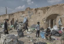 Dita Botërore Kundër Punës së Fëmijëve: Fëmijët që Punojnë në Iran, Viktima të Regjimit të Mullahëve