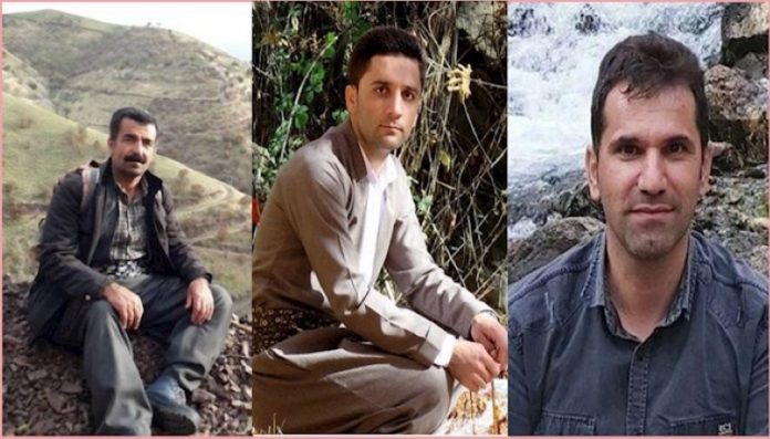 Three-environment-activists-lost-their-lives-fighting-a-local-forest-fire-in-western-Iran-1