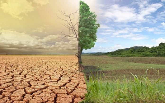 Iran-desertification