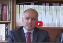 Iran: Dhunimet e të Drejtave Njerëzore nga Ebrahim Raisi, Rrëfimet e Dëshmitarëve, Ali Zolfaghari