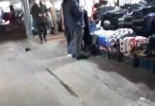Njësitë e Rezistencës MEK transmetojnë slogane kundër regjimit në dy qytetet kryesore të Iranit