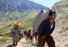 Krizat socio-ekonomike dhe shtypja shtetërore pretendojnë një numër të madh të vdekjeve në provincën Kurdistan