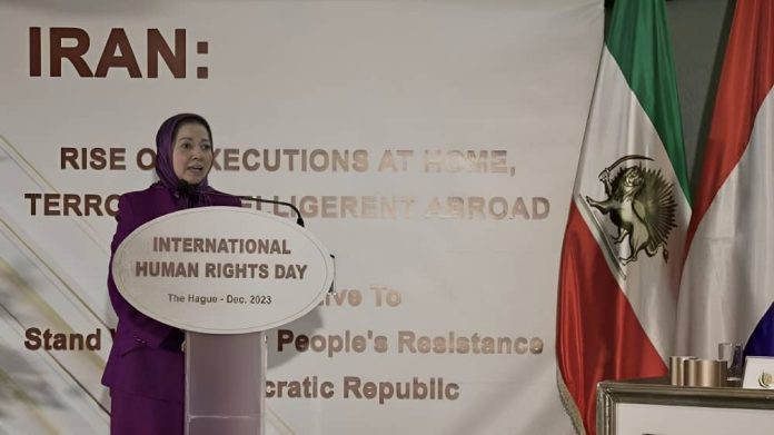 dowlat-nowruzi-netherlands-conference-dec2023-1