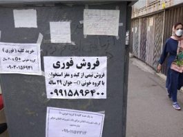 Reklamimi në rrugë në Iran për shitjen e veshkave, levave dhe palcës së eshtrave