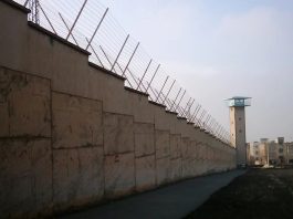 Të burgosurit politikë iranianë shënojnë javën e 30-të të grevës së urisë në fushatën Jo ekzekutimeve