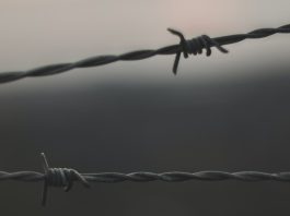 Nevoja për t'i dhënë fund pandëshkueshmërisë së udhëheqësve dhe autoriteteve të regjimit iranian