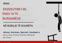 Irani ekzekuton të paktën 14 të burgosur në shumë burgje