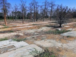 Mohimi i të Burgosurve Politikë në Iran dhe Fshirja e Provave të Ekzekutimeve Masive