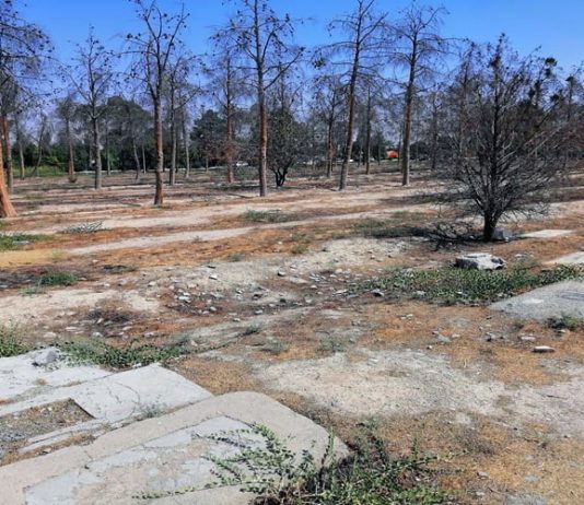 Mohimi i të Burgosurve Politikë në Iran dhe Fshirja e Provave të Ekzekutimeve Masive