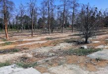 Shkatërrimi i Varreve të Masakrës: Teherani Fsheh Mizoritë e Viteve 1980 Shkatërrimi i Varreve të Masakrës: Teherani Fsheh Mizoritë e Viteve 1980