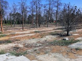 Shkatërrimi i Varreve të Masakrës: Teherani Fsheh Mizoritë e Viteve 1980