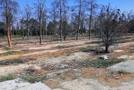 Shkatërrimi i Varreve të Masakrës: Teherani Fsheh Mizoritë e Viteve 1980
