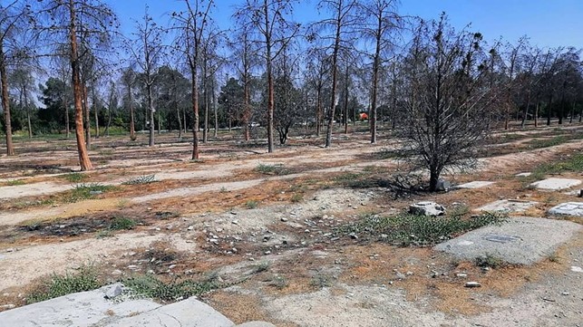 Shkatërrimi i Varreve të Masakrës: Teherani Fsheh Mizoritë e Viteve 1980